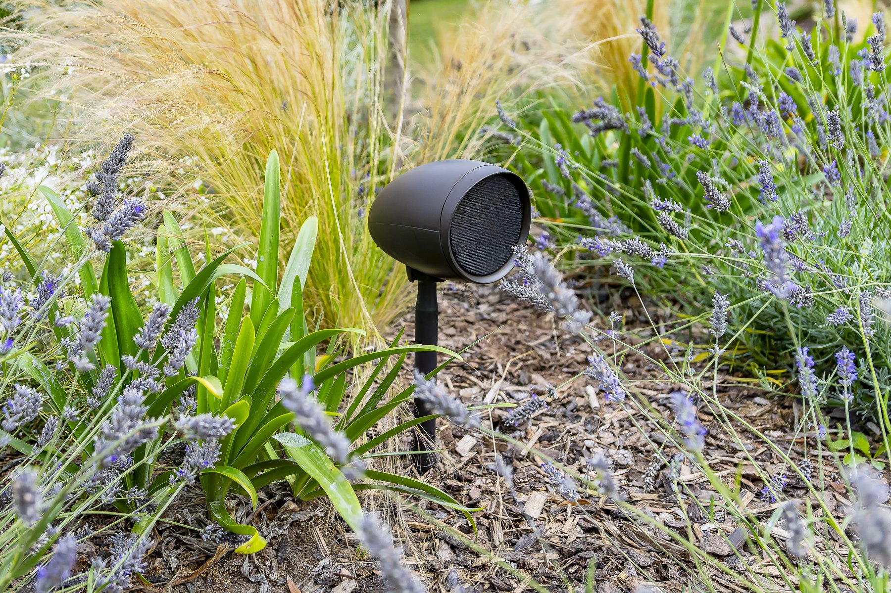 Outdoor speaker set among garden planting
