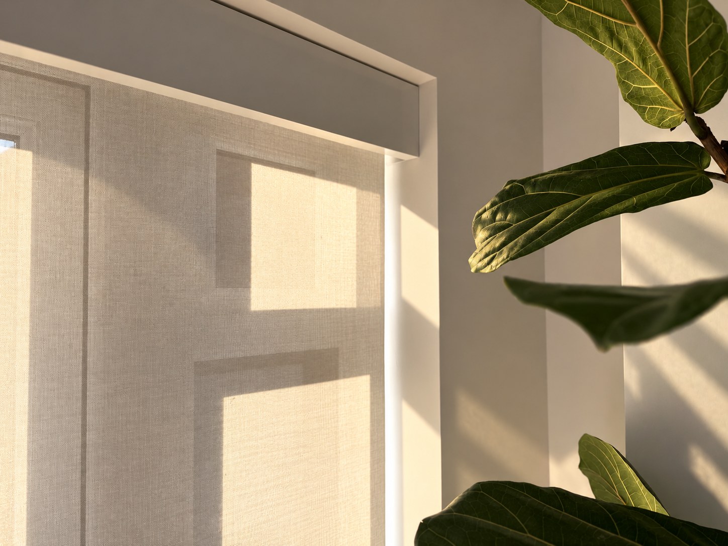 Automated roller blinds filtering daylight